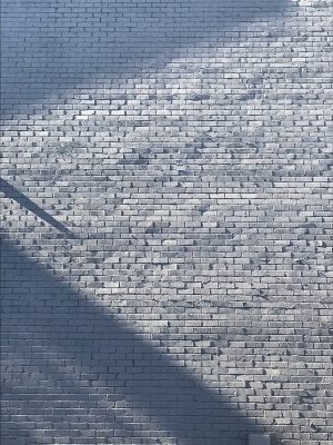 Shadows on a wall