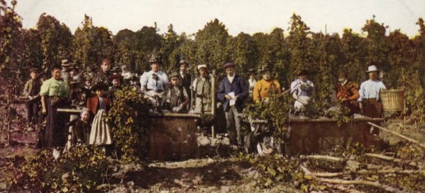 Hop pickers