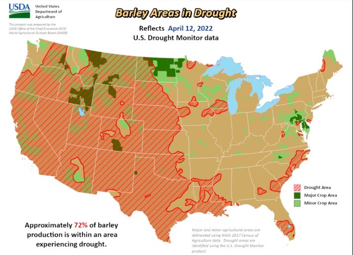 Drought report not good news for barley