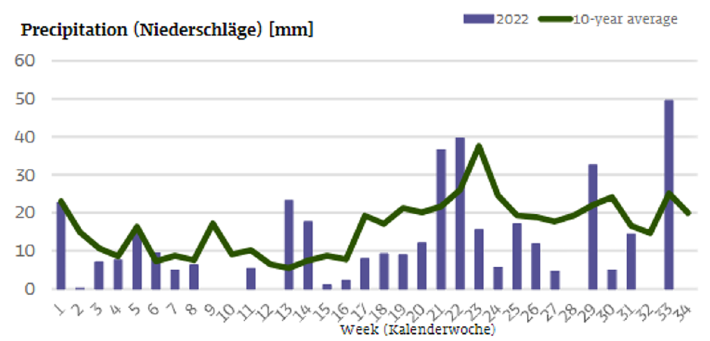 Rainfall on German hopyard 2022