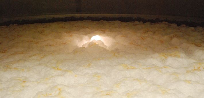 Lager fermenting at Brauerei Schönram 