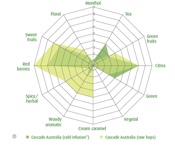 Australian grown Cascade hops