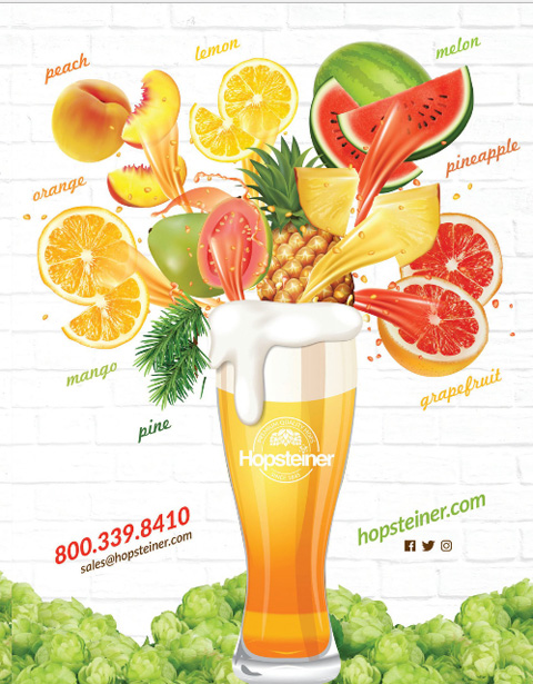 Hopsteiner advertisement, The New Brewer